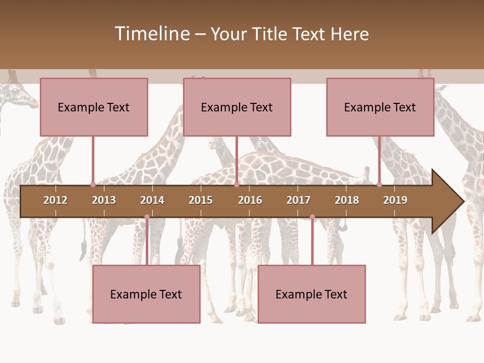 Mammal Cute One PowerPoint Template
