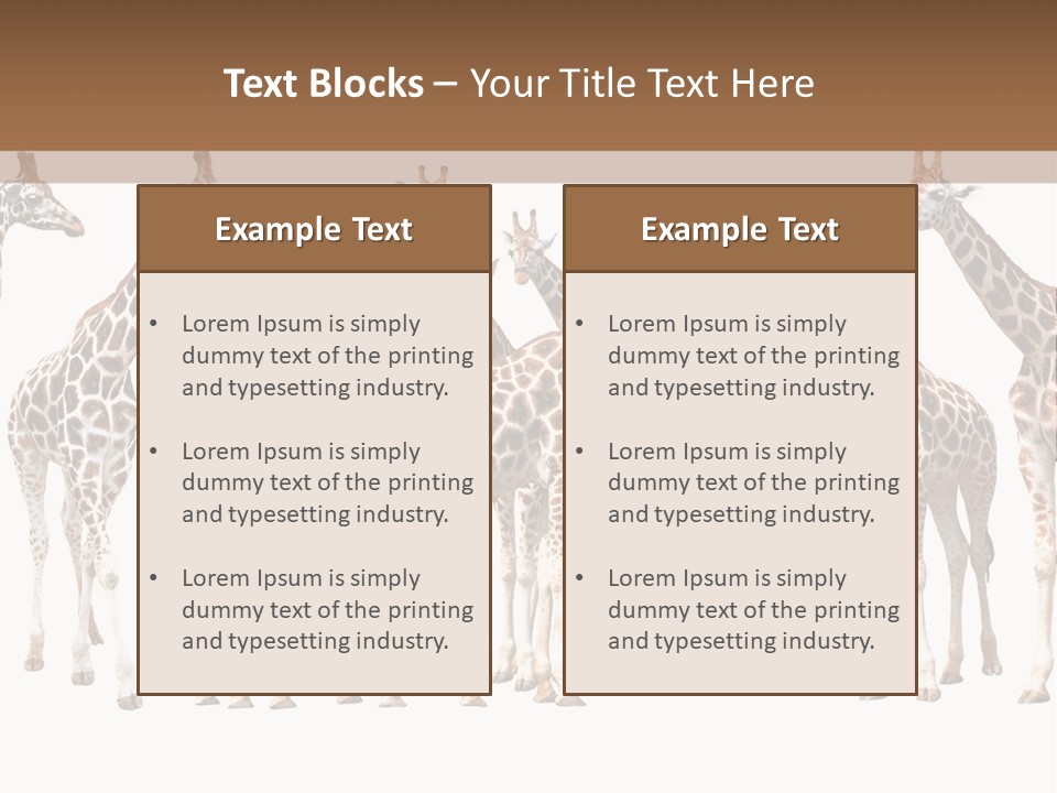 Mammal Cute One PowerPoint Template