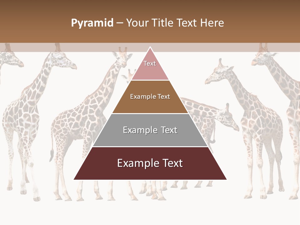 Mammal Cute One PowerPoint Template