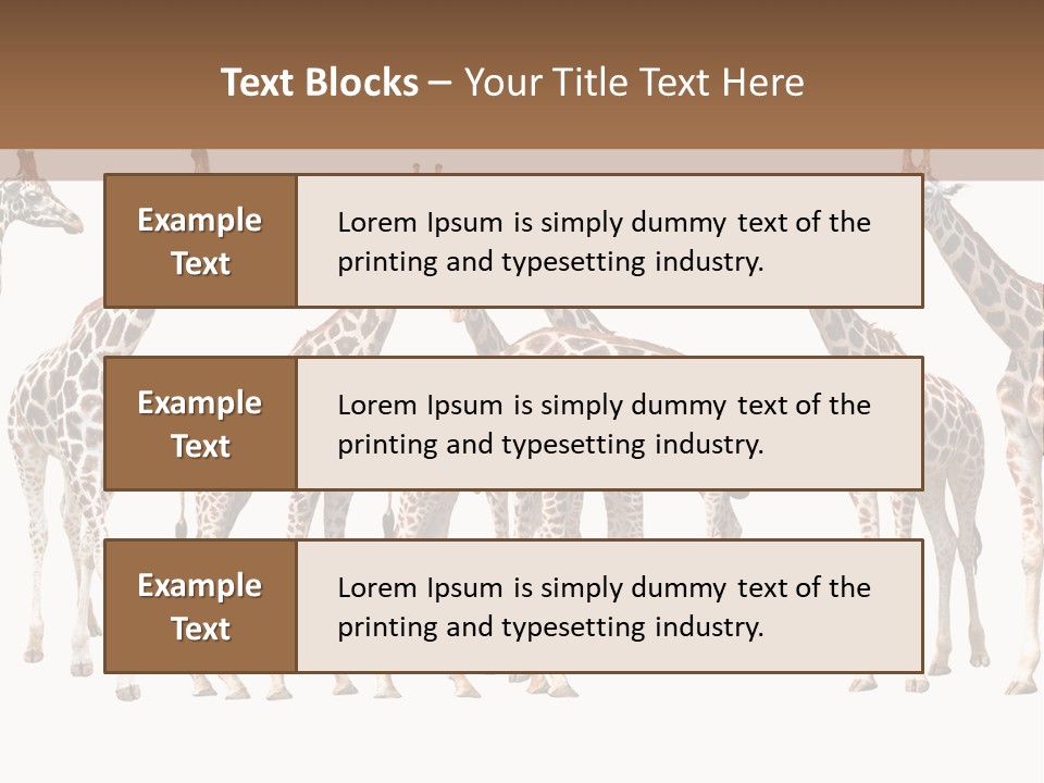 Mammal Cute One PowerPoint Template