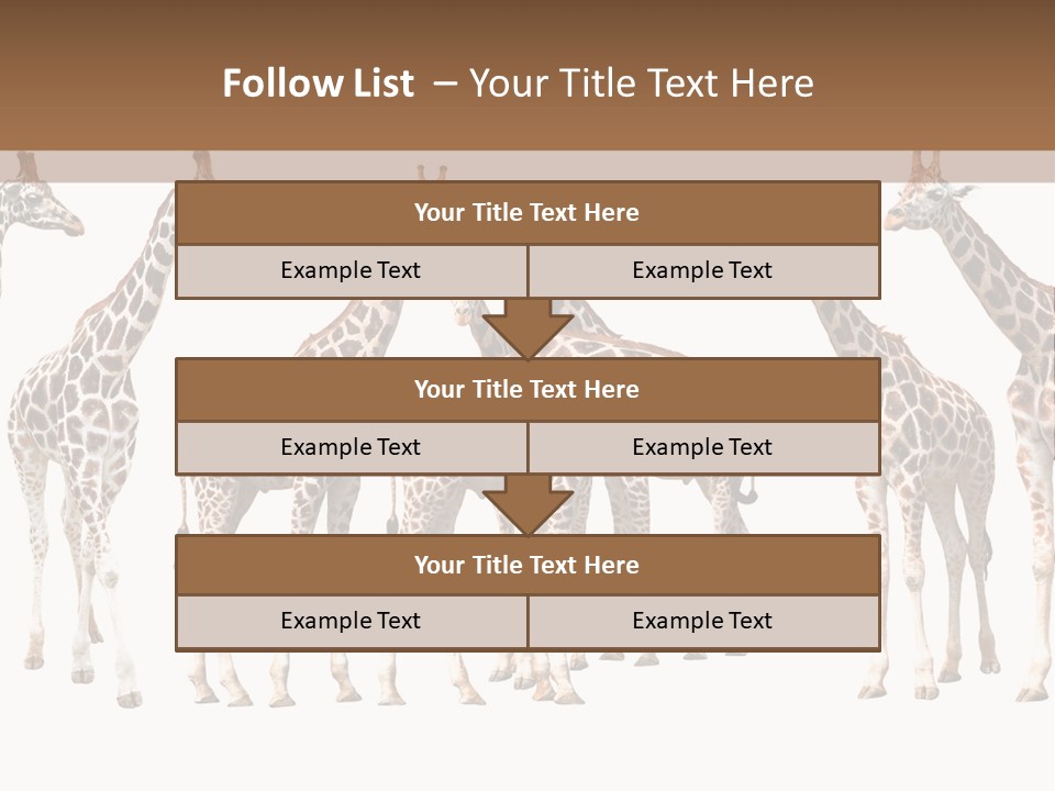 Mammal Cute One PowerPoint Template