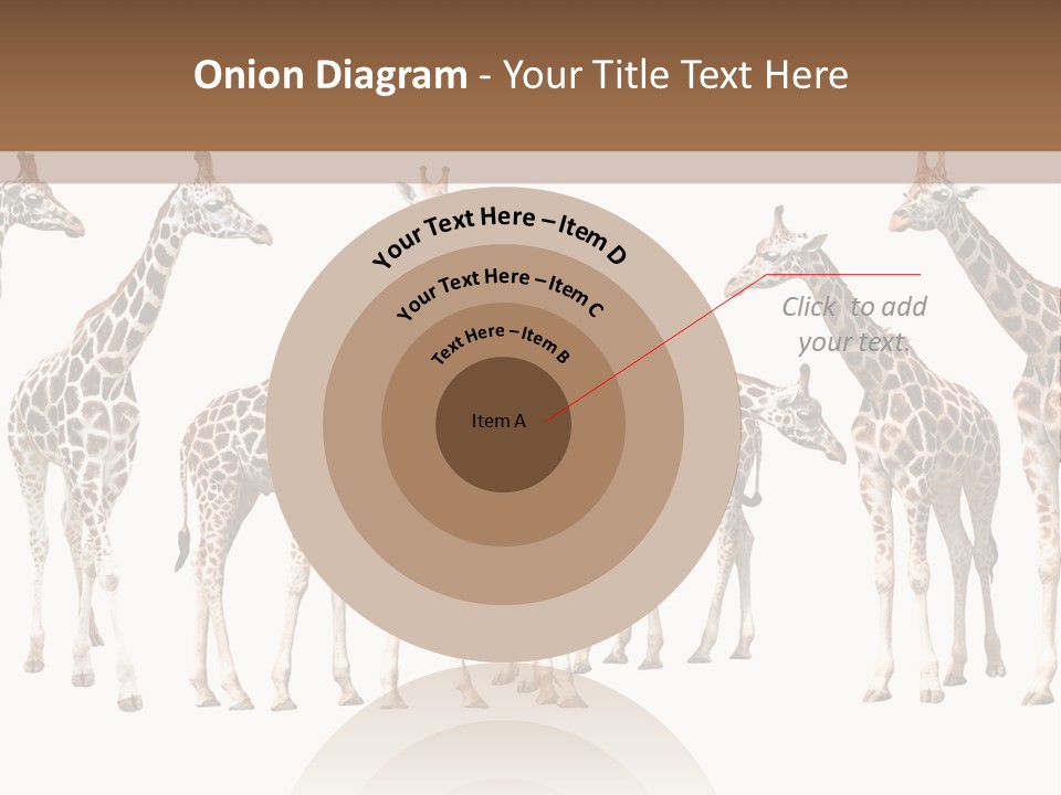 Mammal Cute One PowerPoint Template