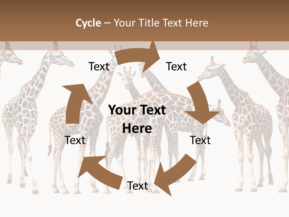 Mammal Cute One PowerPoint Template