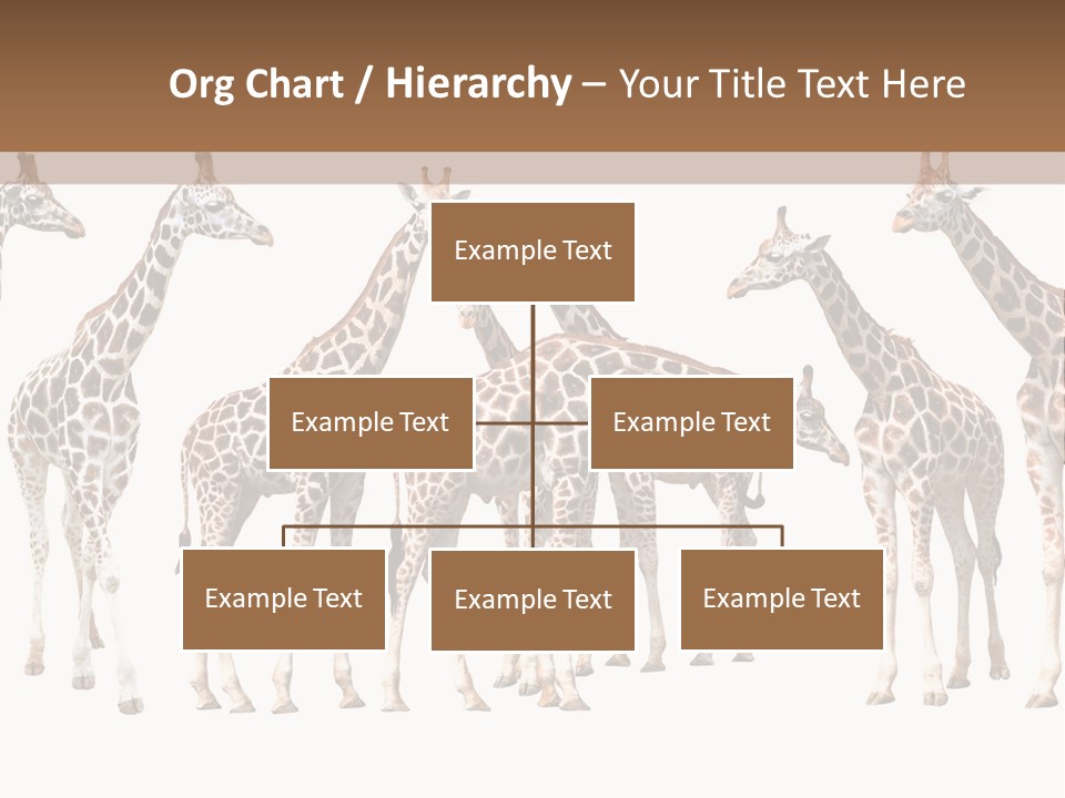 Mammal Cute One PowerPoint Template