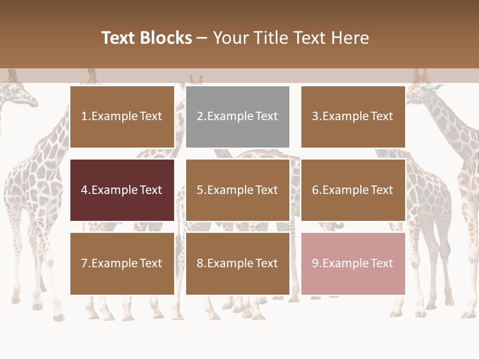 Mammal Cute One PowerPoint Template