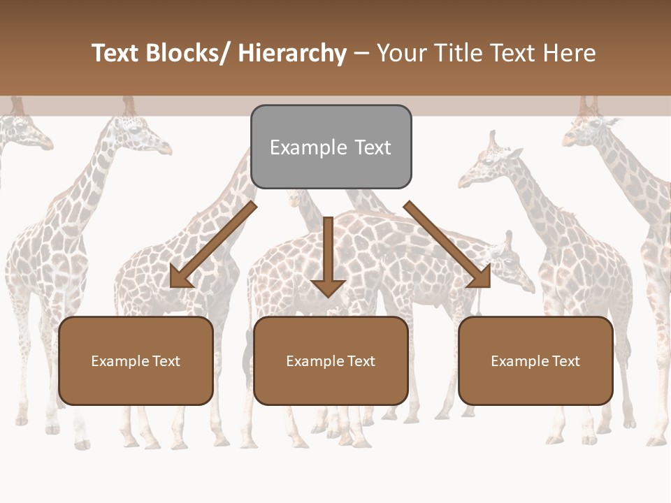Mammal Cute One PowerPoint Template