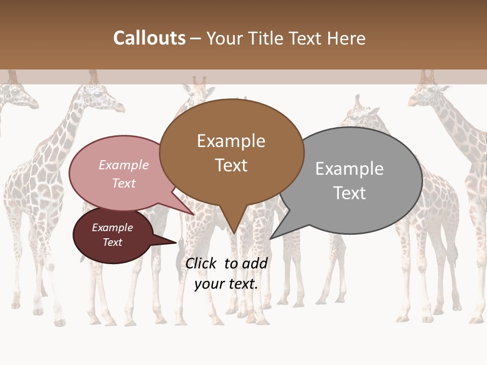 Mammal Cute One PowerPoint Template
