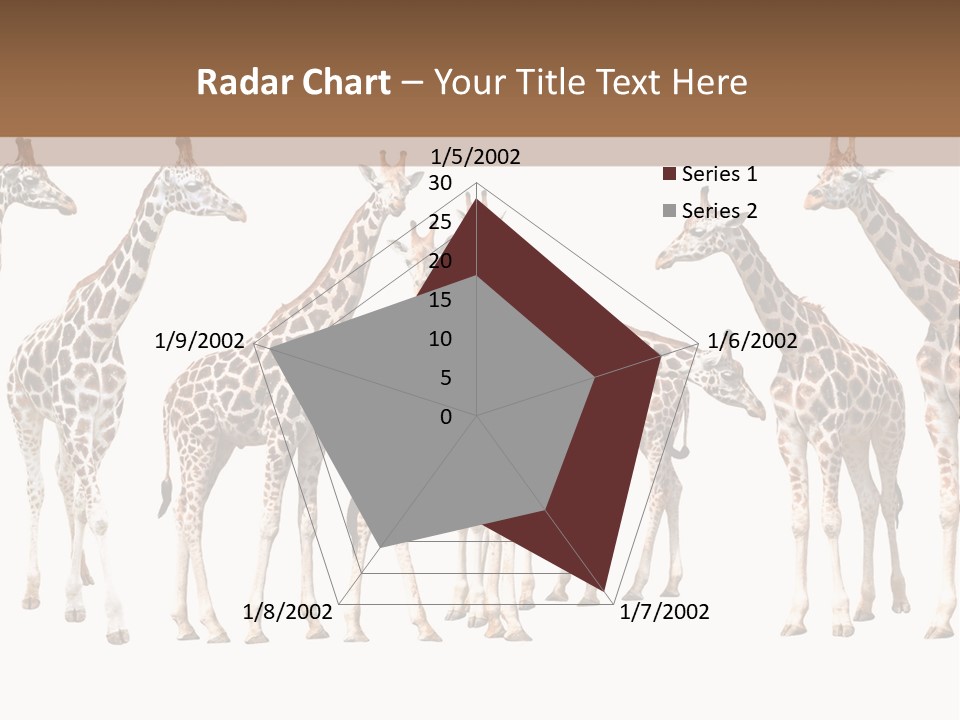 Mammal Cute One PowerPoint Template