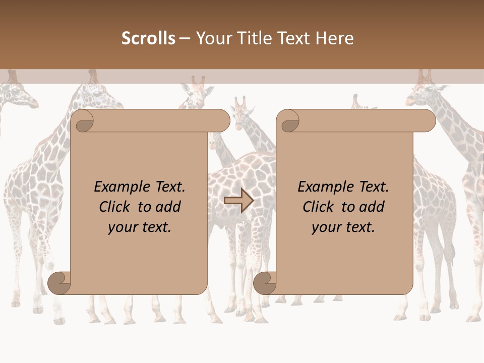 Mammal Cute One PowerPoint Template