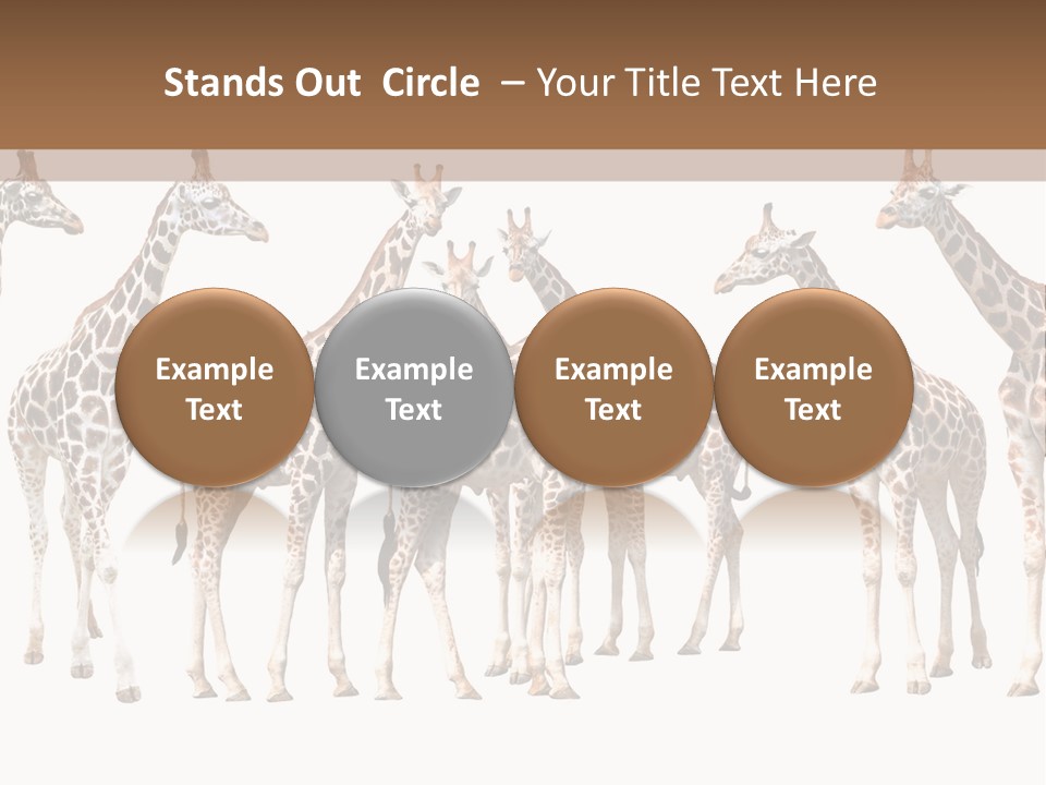 Mammal Cute One PowerPoint Template