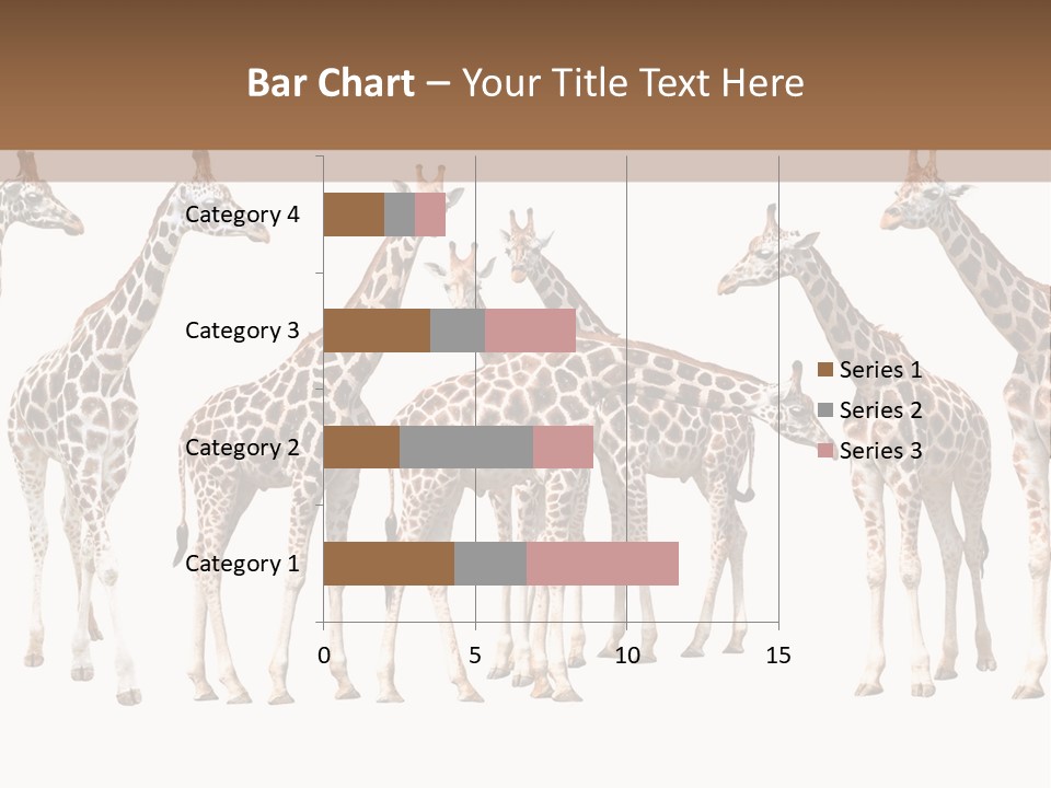 Mammal Cute One PowerPoint Template