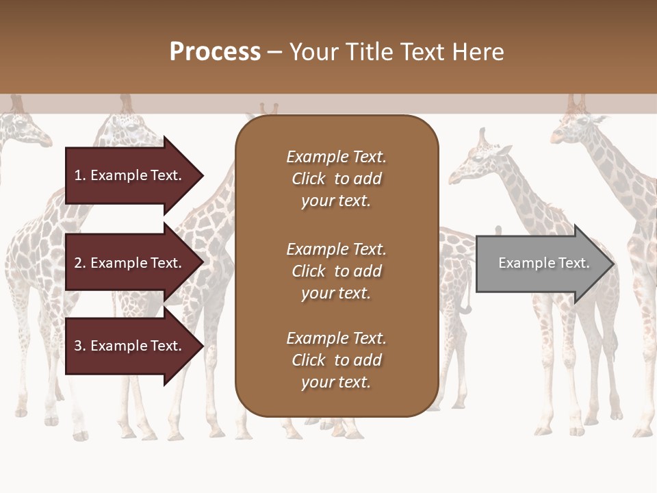 Mammal Cute One PowerPoint Template