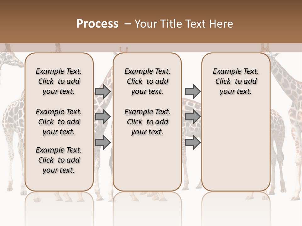 Mammal Cute One PowerPoint Template