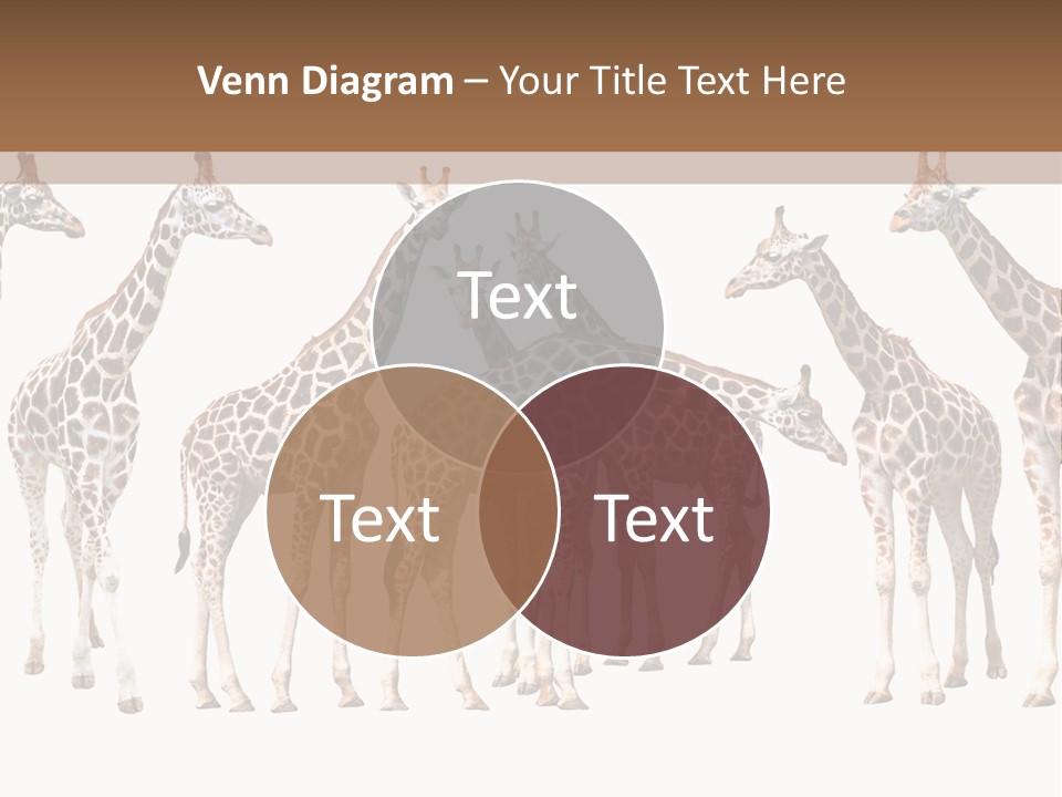 Mammal Cute One PowerPoint Template