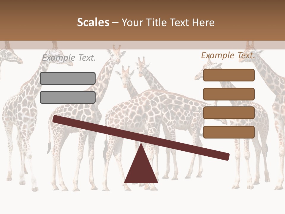 Mammal Cute One PowerPoint Template
