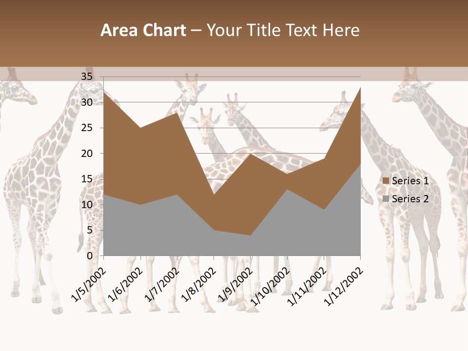 Mammal Cute One PowerPoint Template