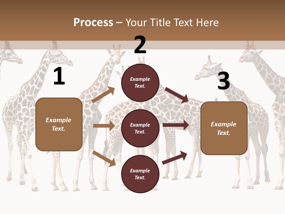 Mammal Cute One PowerPoint Template