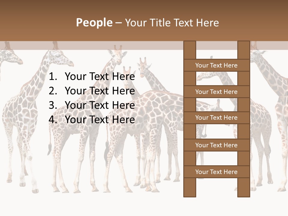 Mammal Cute One PowerPoint Template