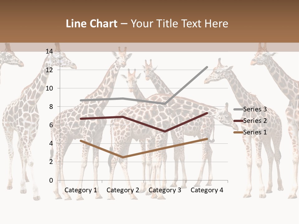 Mammal Cute One PowerPoint Template