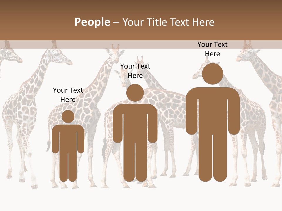 Mammal Cute One PowerPoint Template