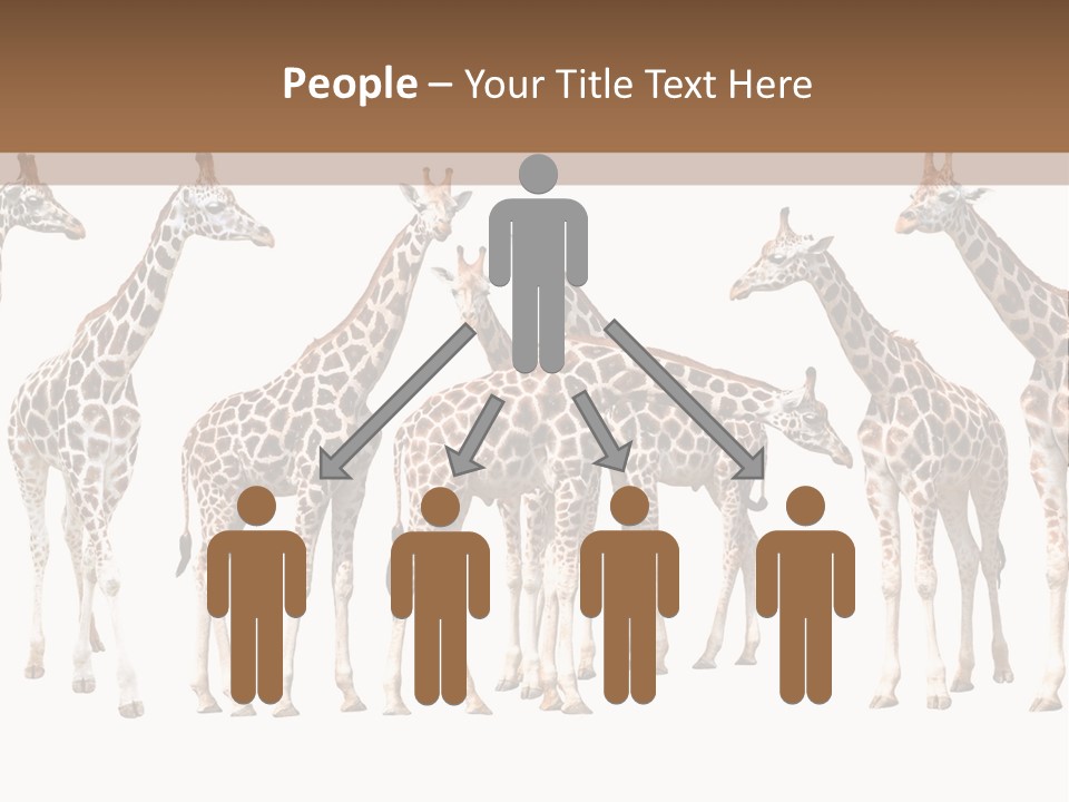 Mammal Cute One PowerPoint Template