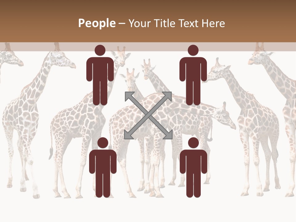 Mammal Cute One PowerPoint Template