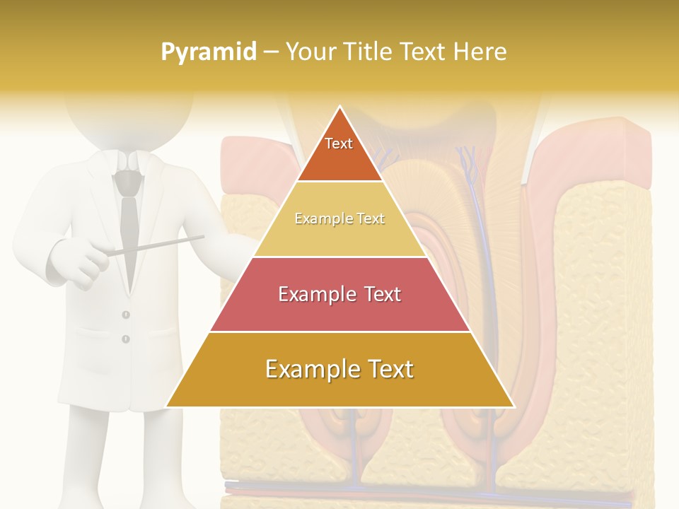 Cementum Cavity Mouth PowerPoint Template