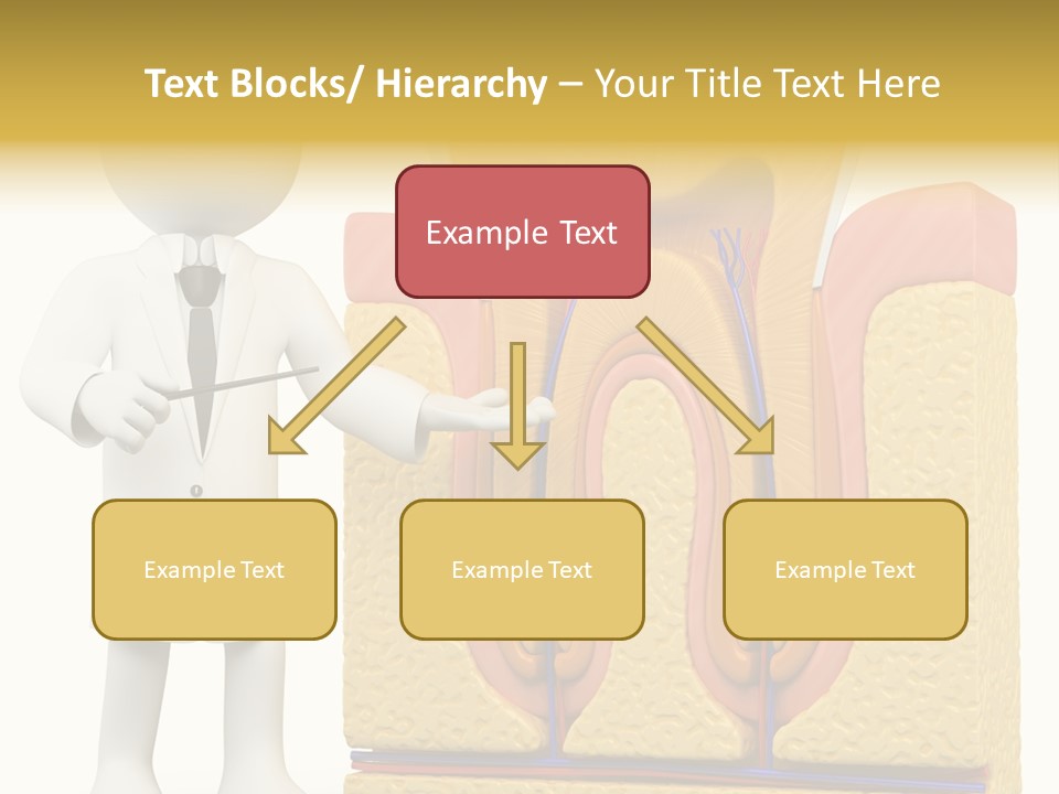 Cementum Cavity Mouth PowerPoint Template
