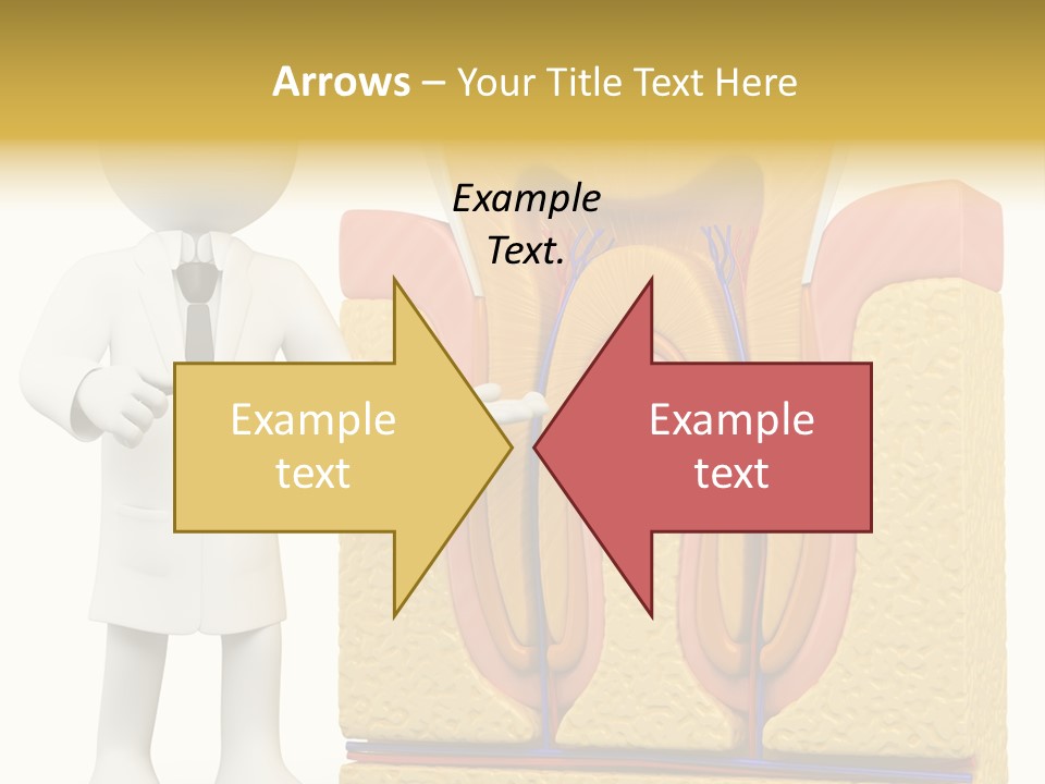 Cementum Cavity Mouth PowerPoint Template