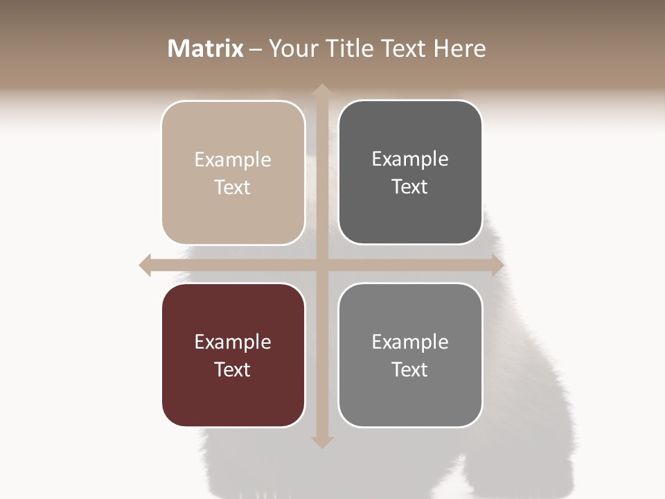 Bear Cub Isolated Panda PowerPoint Template