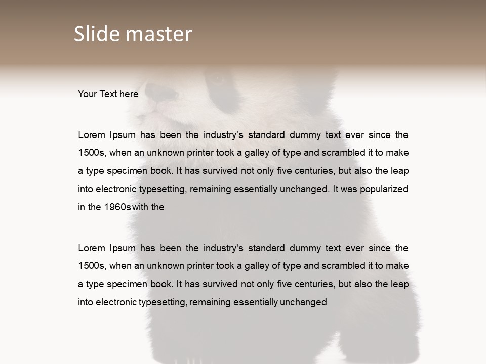 Bear Cub Isolated Panda PowerPoint Template