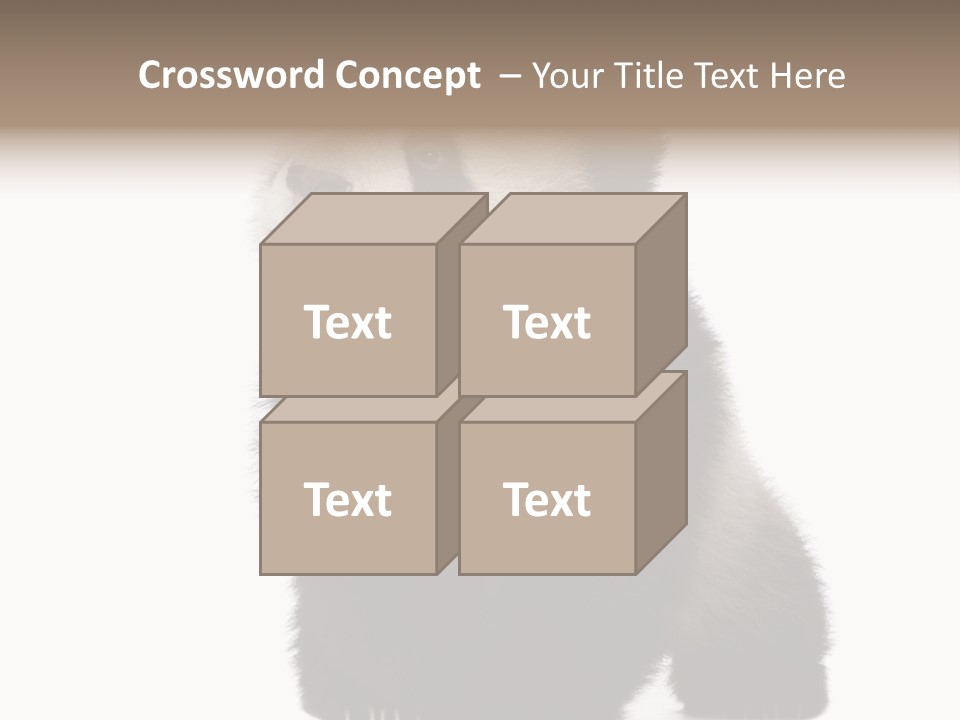 Bear Cub Isolated Panda PowerPoint Template