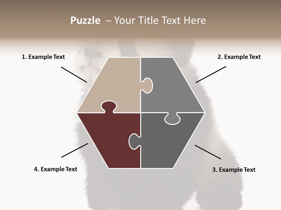 Bear Cub Isolated Panda PowerPoint Template