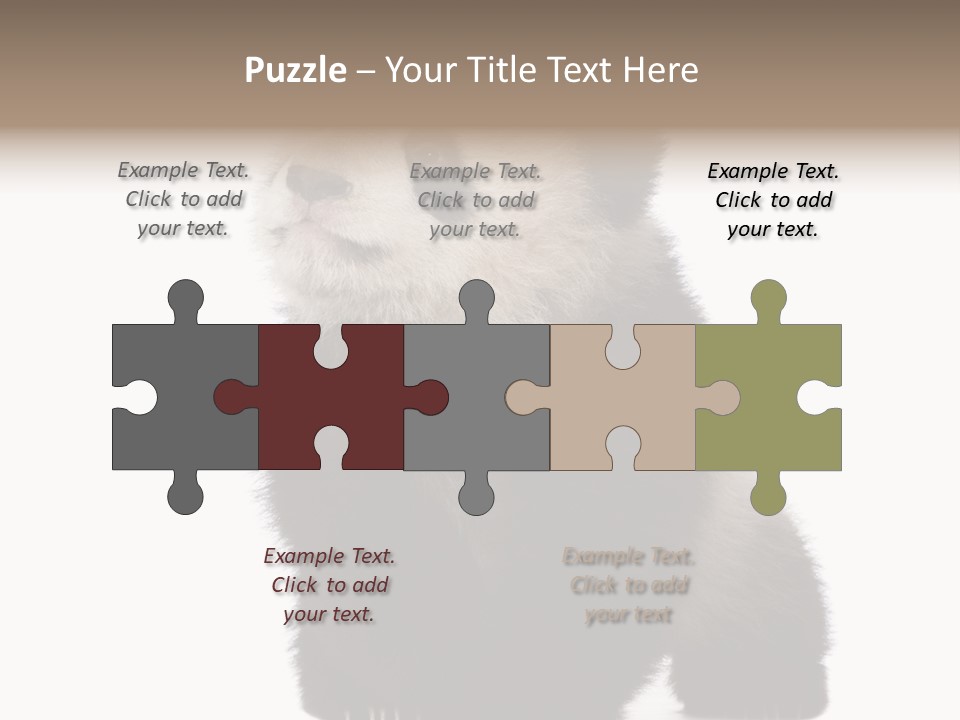 Bear Cub Isolated Panda PowerPoint Template