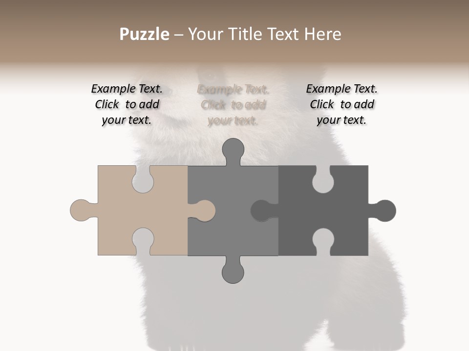 Bear Cub Isolated Panda PowerPoint Template