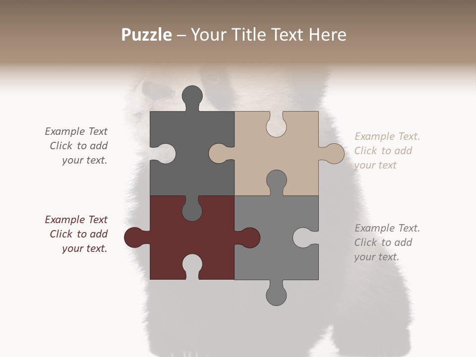 Bear Cub Isolated Panda PowerPoint Template