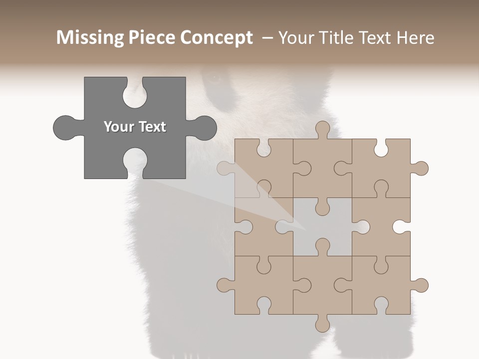 Bear Cub Isolated Panda PowerPoint Template