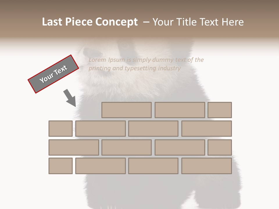 Bear Cub Isolated Panda PowerPoint Template