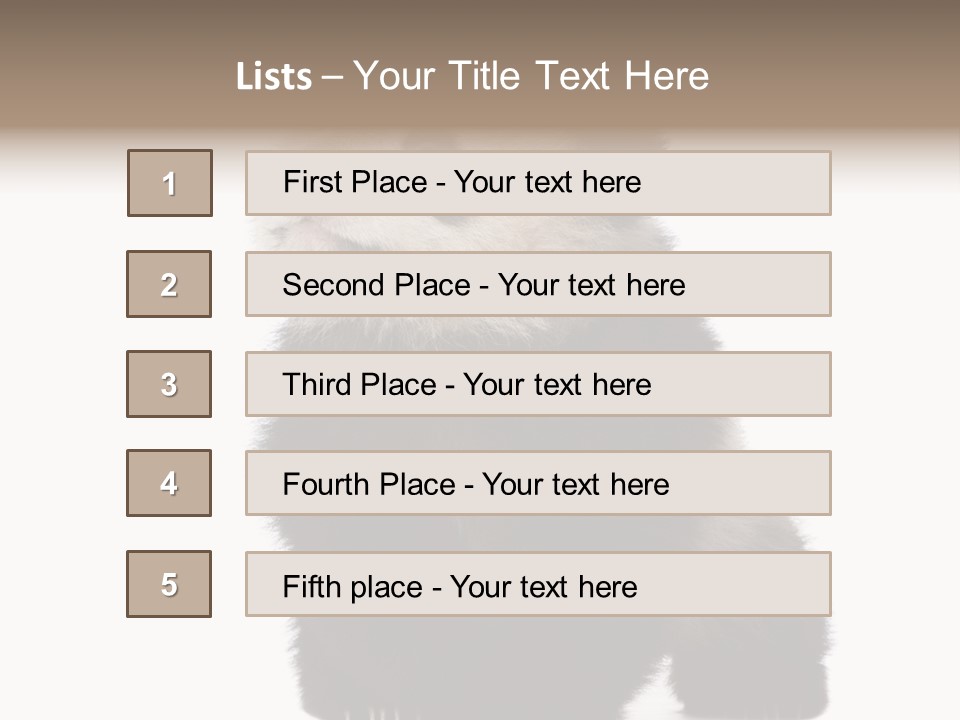 Bear Cub Isolated Panda PowerPoint Template