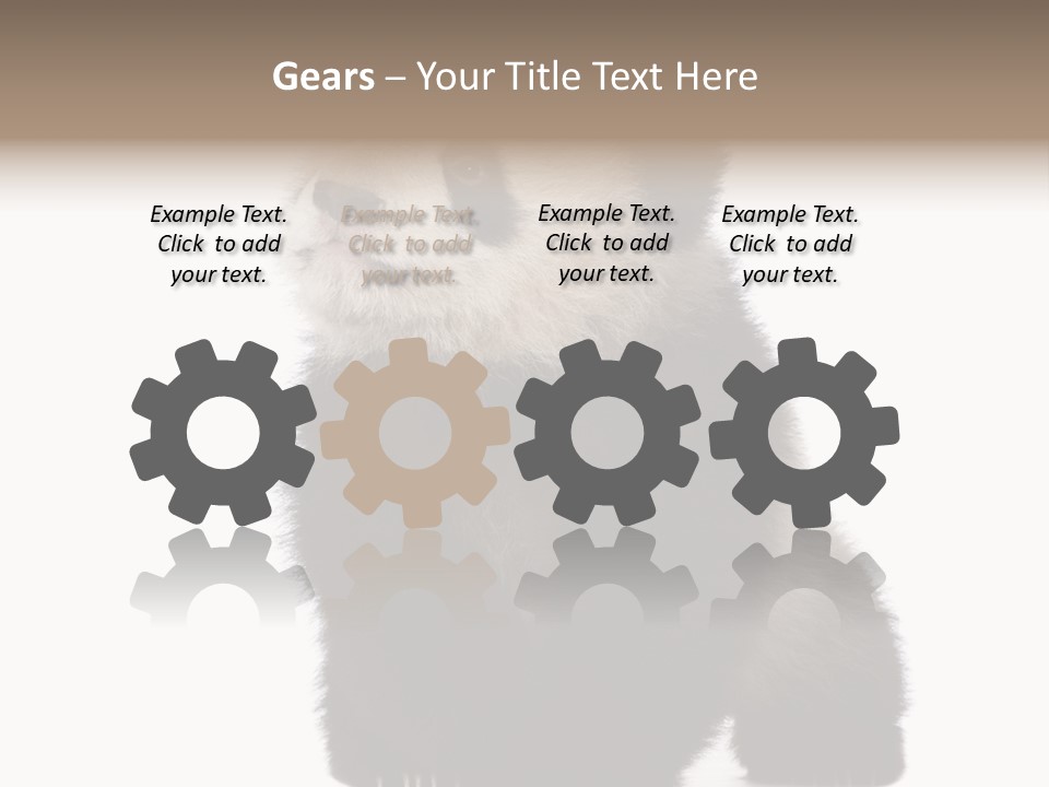 Bear Cub Isolated Panda PowerPoint Template