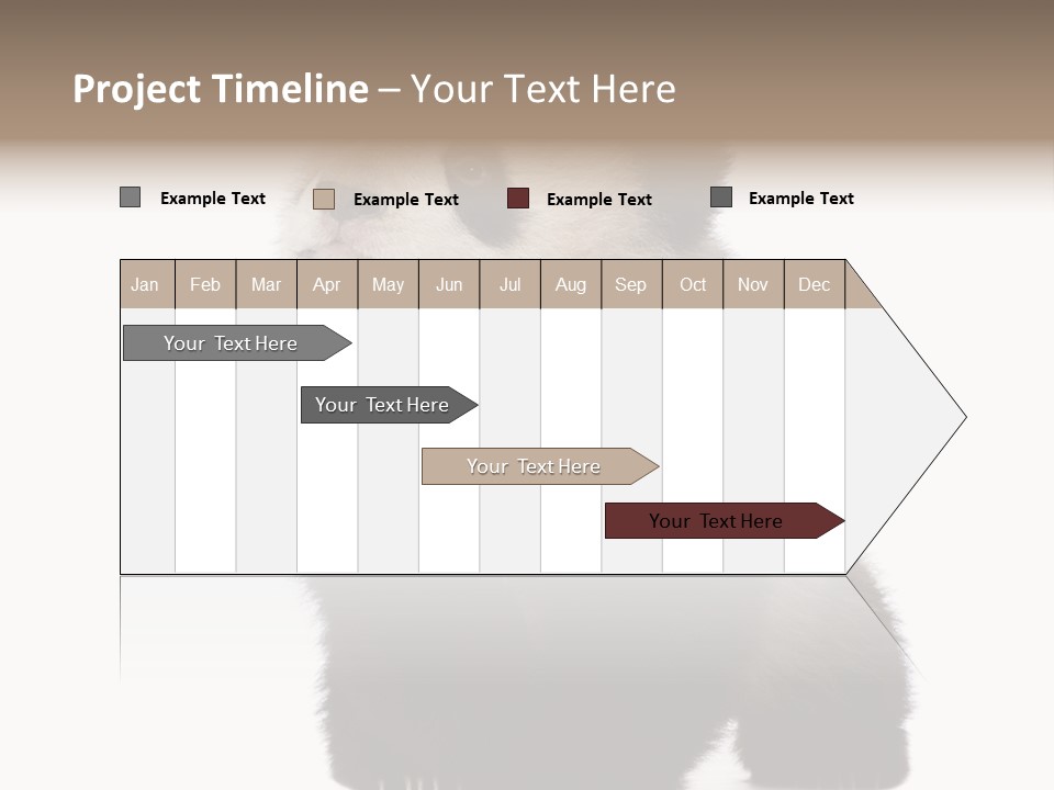 Bear Cub Isolated Panda PowerPoint Template