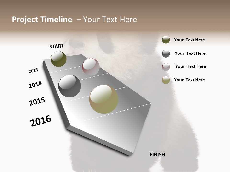 Bear Cub Isolated Panda PowerPoint Template
