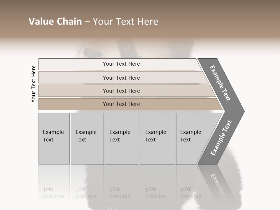 Bear Cub Isolated Panda PowerPoint Template