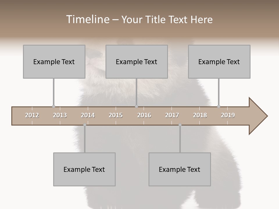 Bear Cub Isolated Panda PowerPoint Template
