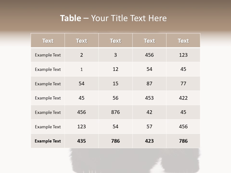 Bear Cub Isolated Panda PowerPoint Template