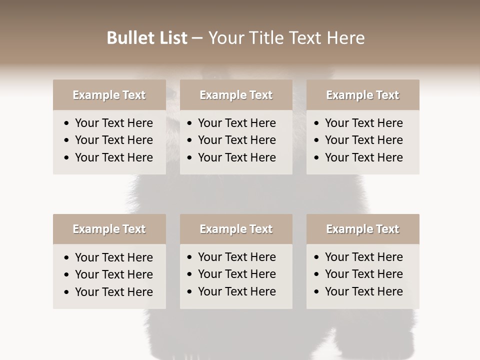 Bear Cub Isolated Panda PowerPoint Template