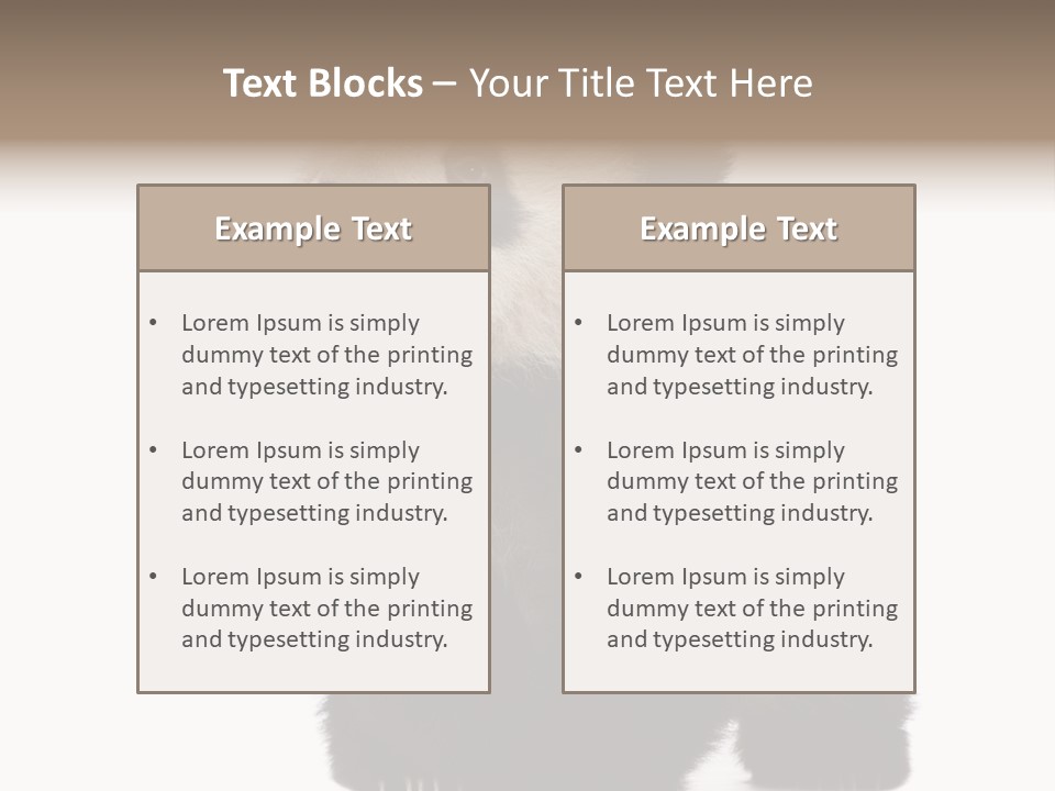 Bear Cub Isolated Panda PowerPoint Template