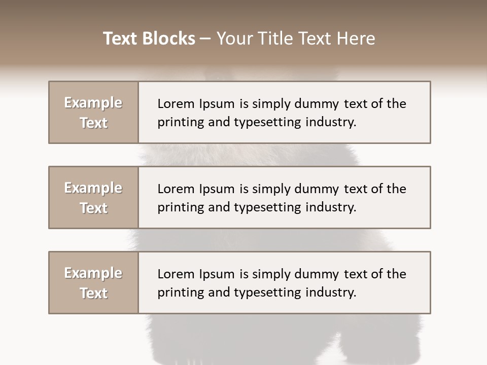 Bear Cub Isolated Panda PowerPoint Template