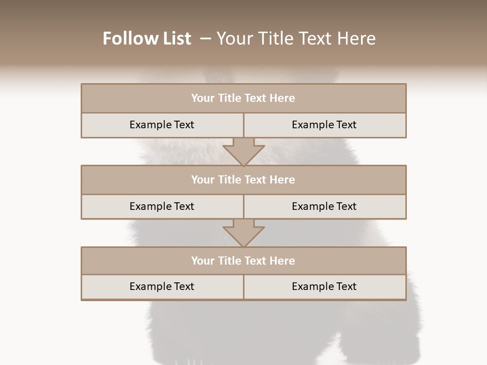 Bear Cub Isolated Panda PowerPoint Template