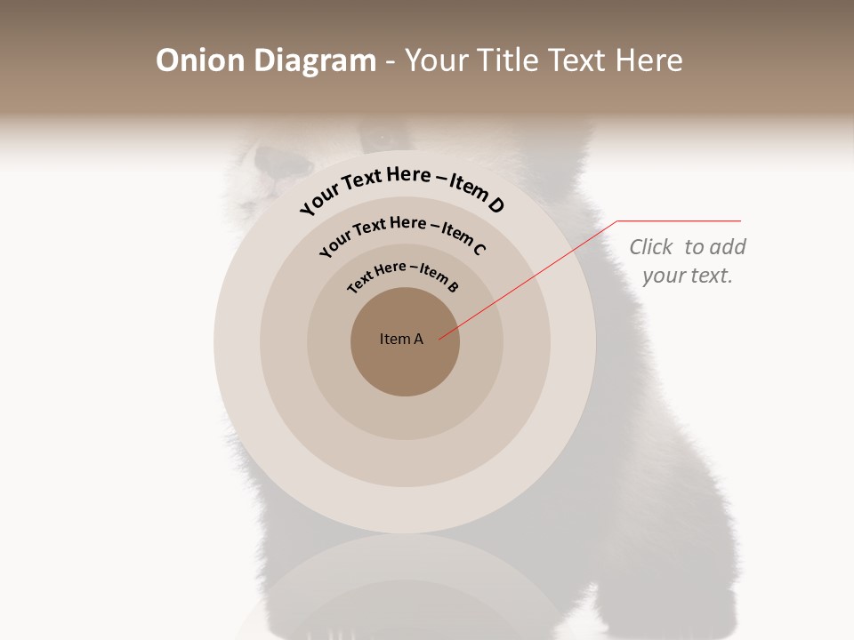 Bear Cub Isolated Panda PowerPoint Template